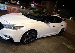 نيسان ماكسيما